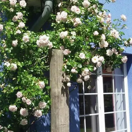 Delightful In Near Zingst Sea *